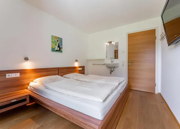 Drei Berge 2 Appartement Viehhofen